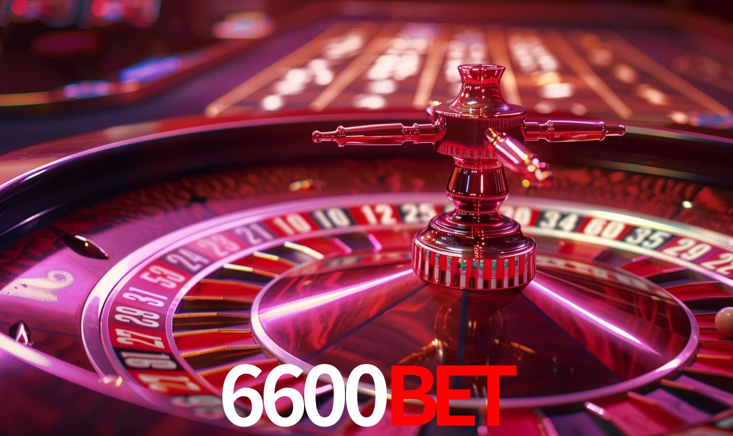 Interface Premium 6600bet